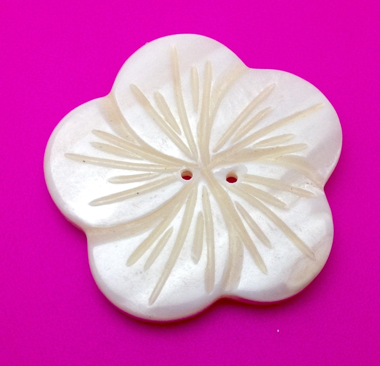 Large White Shell Flower Shaped Buttons